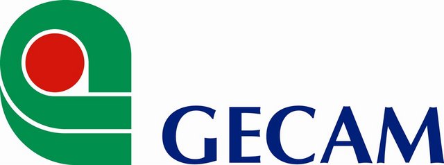 gecam_logo.jpg gecam_logo.jpg